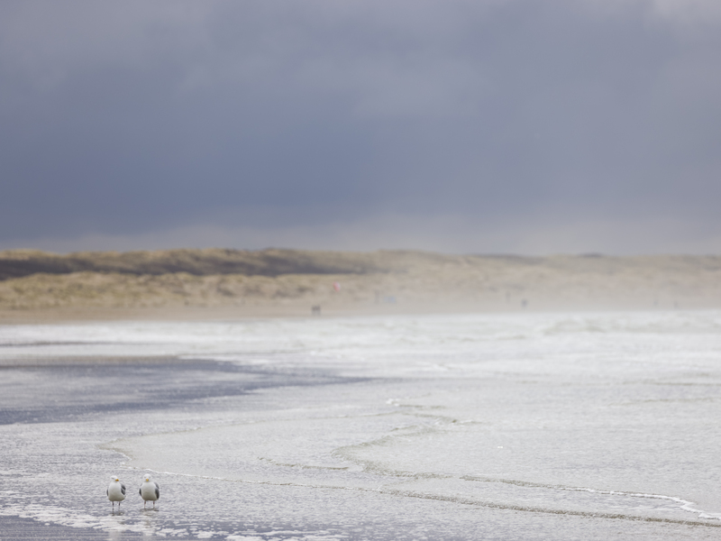 Strand Zuidpier