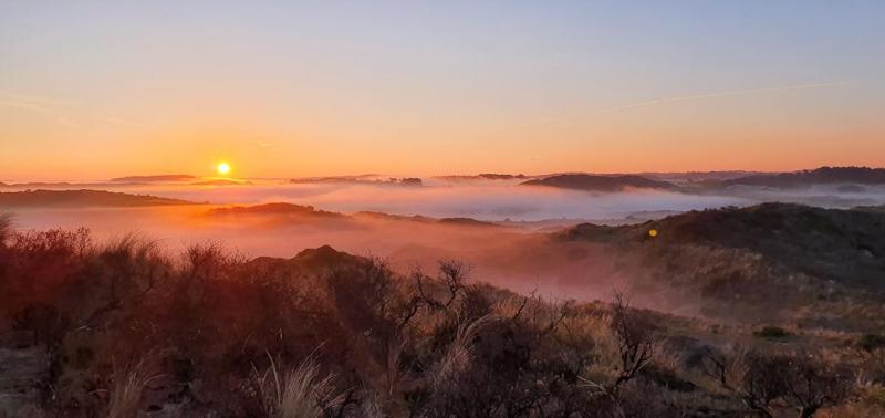 Zonsopkomst Kennemerduinen