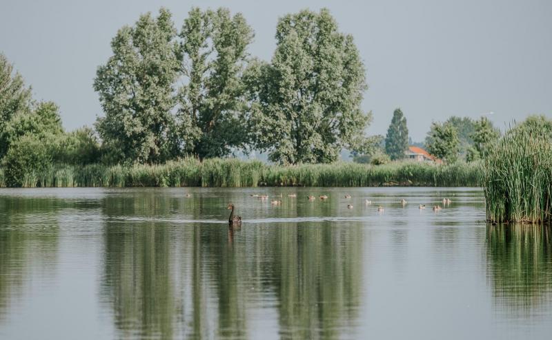 Veerplas Haarlem