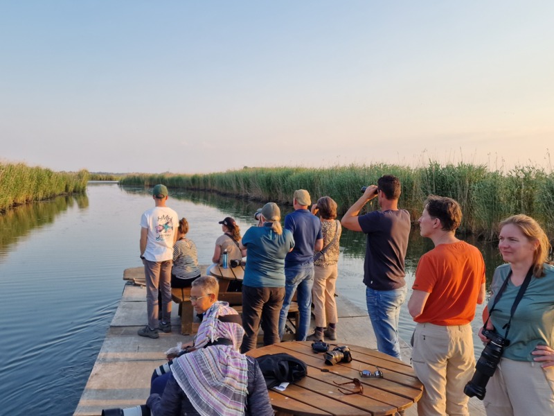 Varen door de Biesbosch ©Gijsbert Twigt