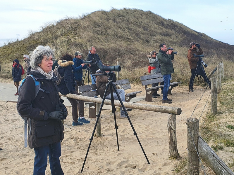 Vogels kijken