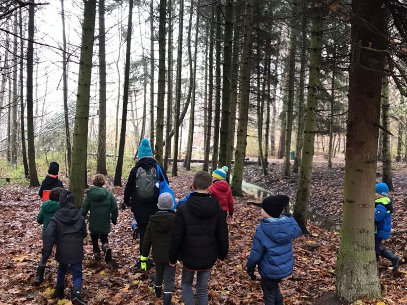 Vogels kijken in het bos