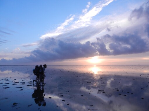 Wadlopen © Wout Bakker