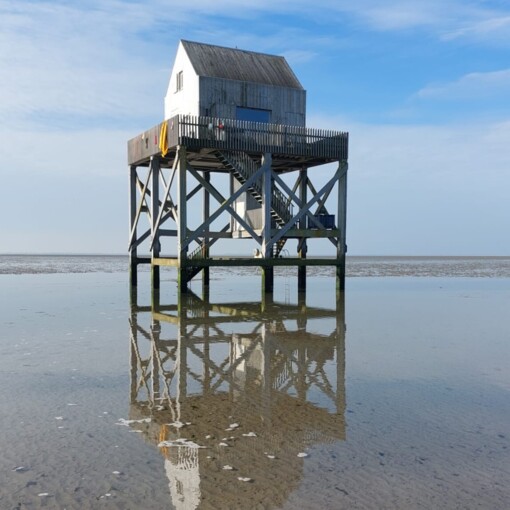 Wadlopen © Wout Bakker