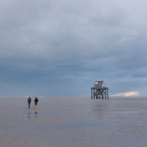 Wadlopen © Wout Bakker
