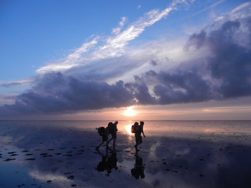 Wadlopen © Wout Bakker