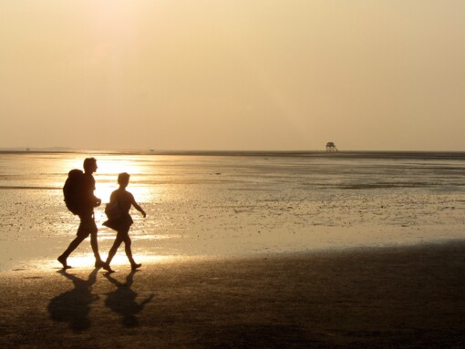 Wadlopen © Wout Bakker