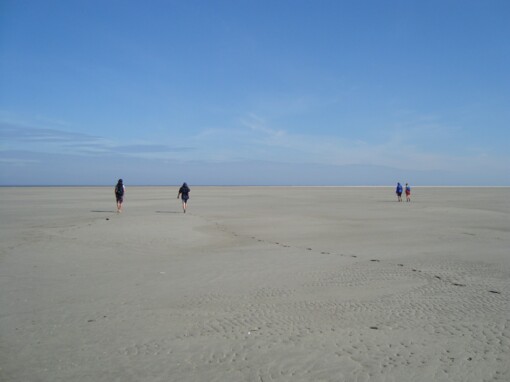 Wadlopen © Wout Bakker